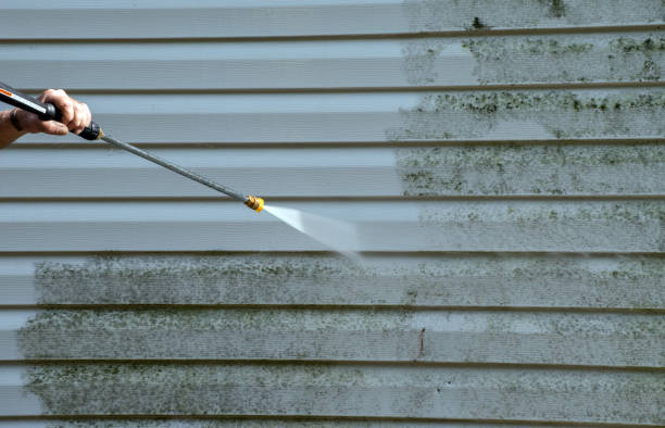Animal Enclosure Cleaning in Hibbing, MN